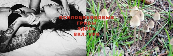 МДПВ Балахна