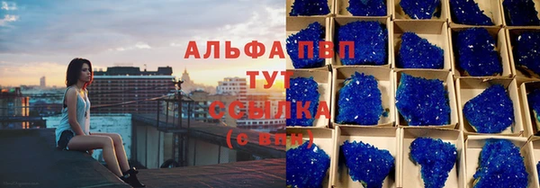 СК Белокуриха