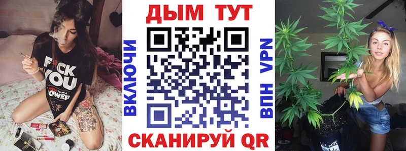 Бошки марихуана гибрид  продажа наркотиков  Мытищи 